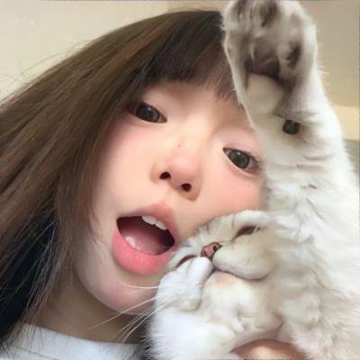 大都会之地